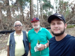 Dilidencias